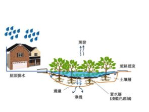 技術(shù)開(kāi)發(fā) 從概念到實(shí)踐