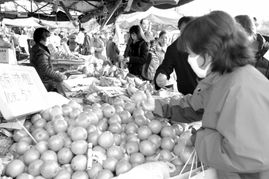 海淀市民的“果籃子”攻略 探訪食用農產品批發市場