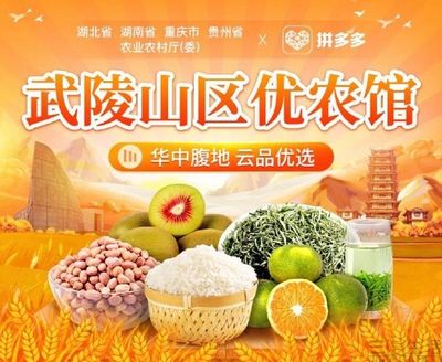 拼多多上線“武陵山區優農館”，助力食用農產品上行與鄉村振興
